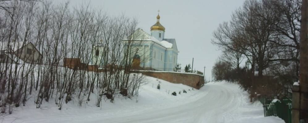 
            Фотография Лучиц