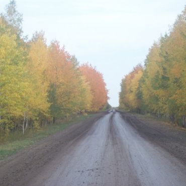 Половинное