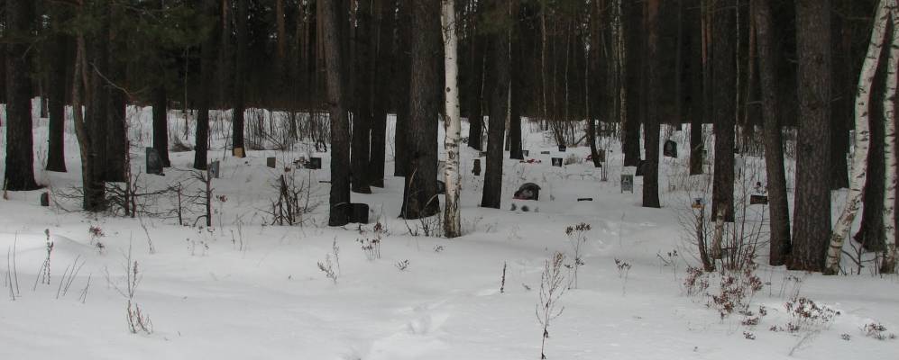 Населенный пункт ивановское. Кладбище Сальцево Кохма. Сальцево Ивановская область. Деревня Сальцево Ивановская область. Сальцево Ивановская область кладбище.