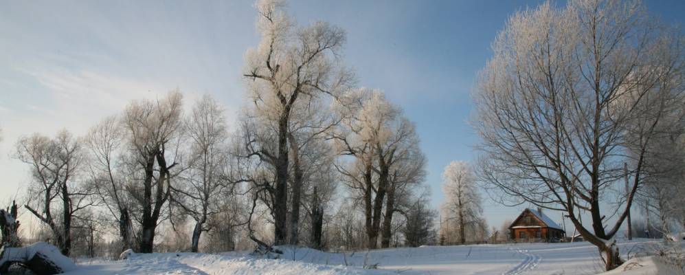 
            Фотография Новогородово