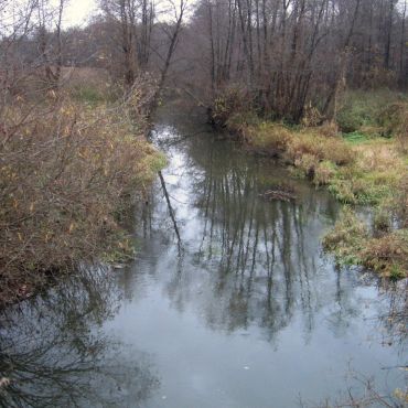 Перелески