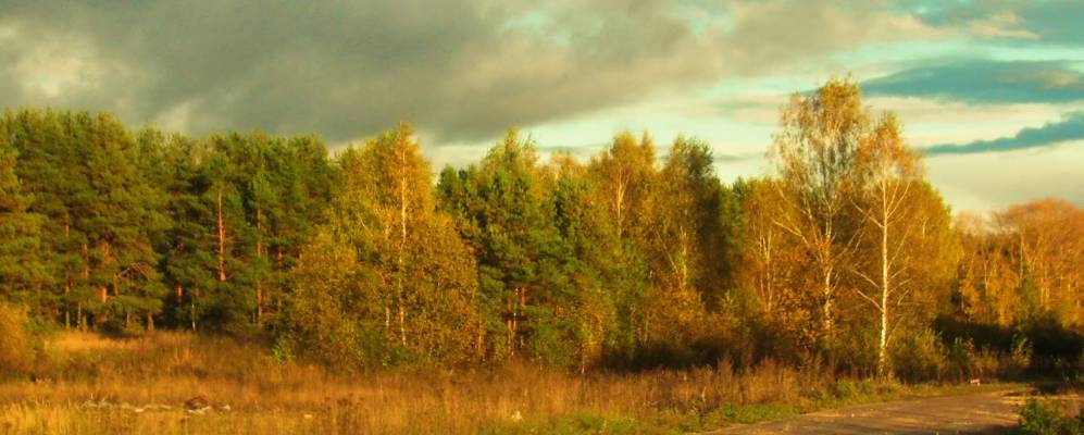 Семеновская нижегородская область. Деревня Федориха. Деревня Родиониха Семеновский район Нижегородской области. Деревня Федориха Семеновский район. Родиониха Семеновский район.