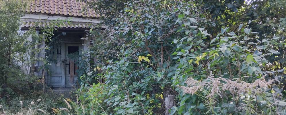 Фотография Гордого