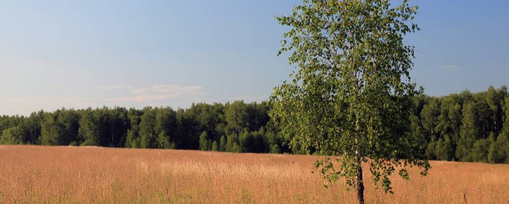 
            Фотография Малого Лупаково