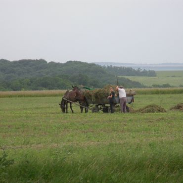 Кучеровка