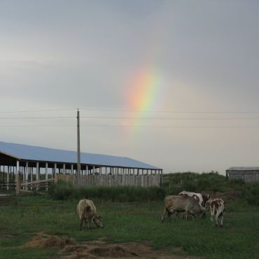 Красный Алтай