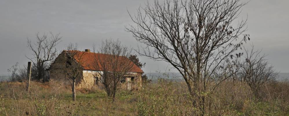 
            Фотография Плавневого