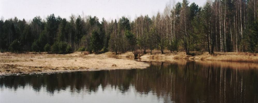 
            Фотография Лесоучастка Судаковского