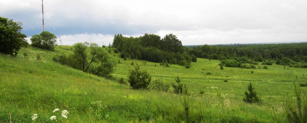 
            Фотография Куриловки