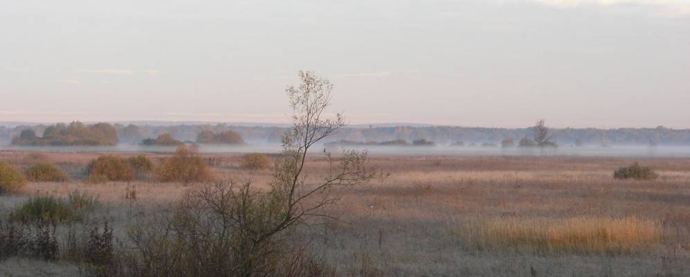 
            Фотография Козьих Угонов