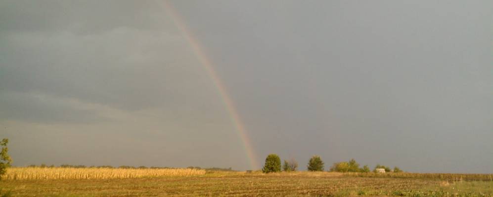 
            Фотография Мировки