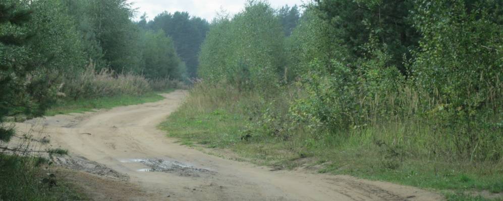 Фотография Афанасьево