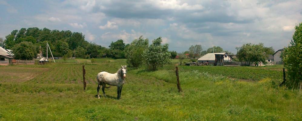 
            Фотография Голокаменки