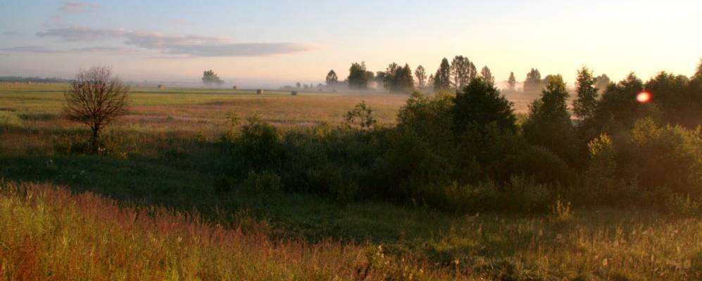 
            Фотография Пначево