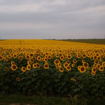 Лапшино