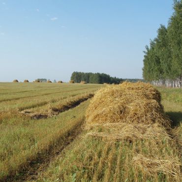 Александровский