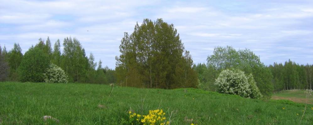 
            Фотография деревни Овинищи