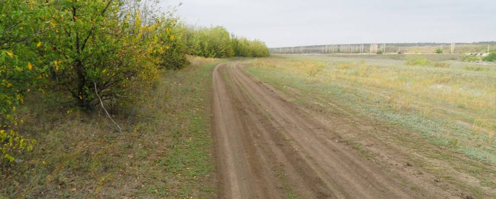 
            Фотография Новониколаевки