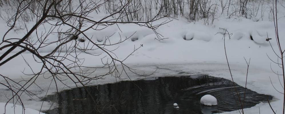 
            Фотография Вараксино