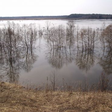 Дорожаево