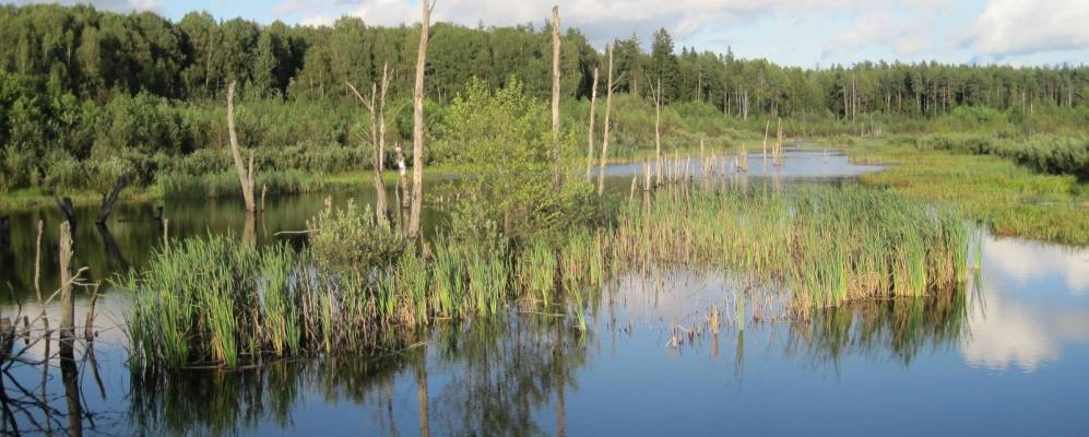 
            Фотография агрогородка Берёзки