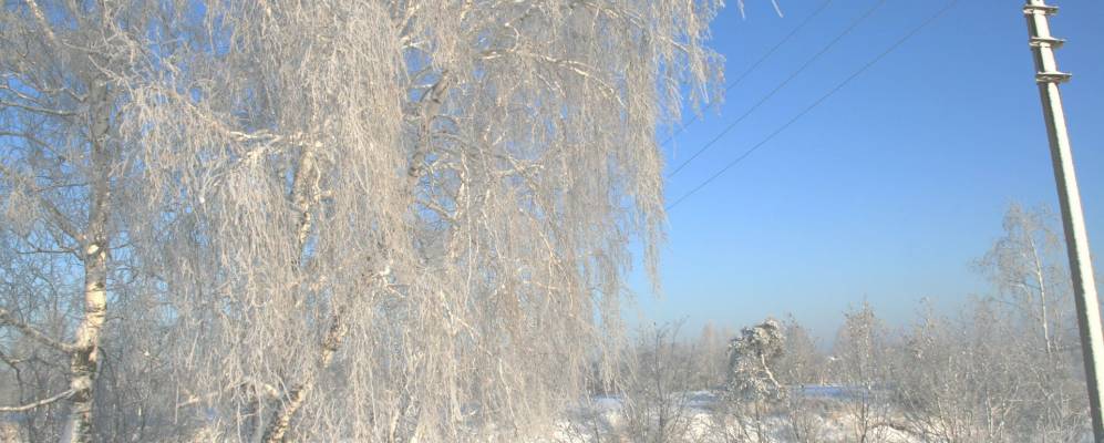 
            Фотография Луговского