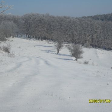 Делчево