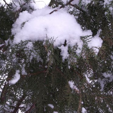 Нижняя Краснопавловка