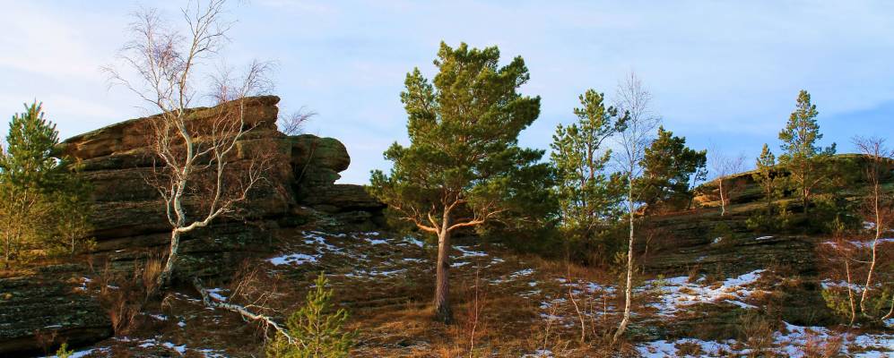 Беспаловский змеиногорский район фото