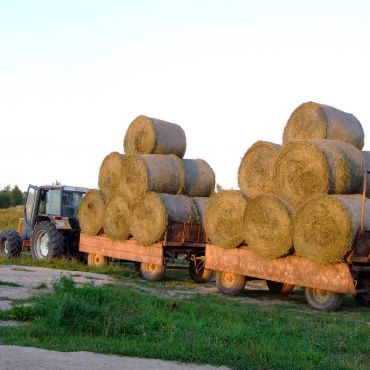 Совхоза Чкаловский