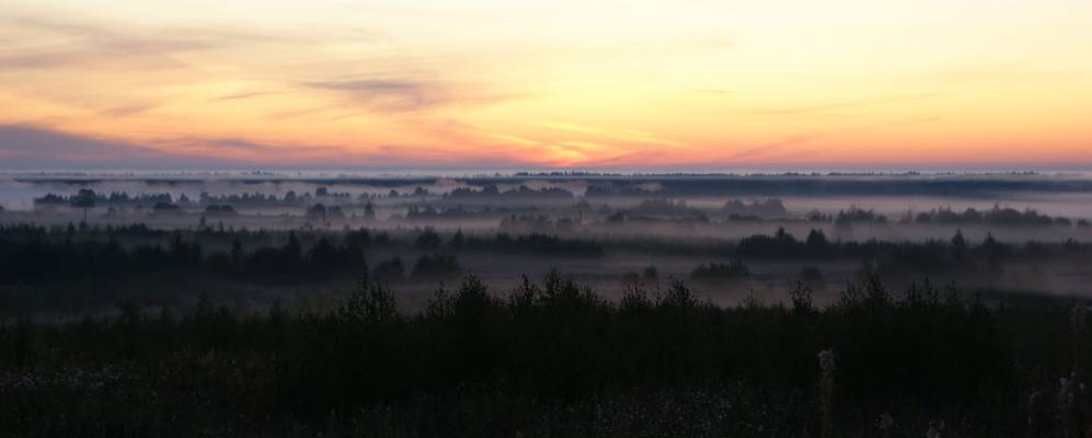 
            Фотография Свинкино