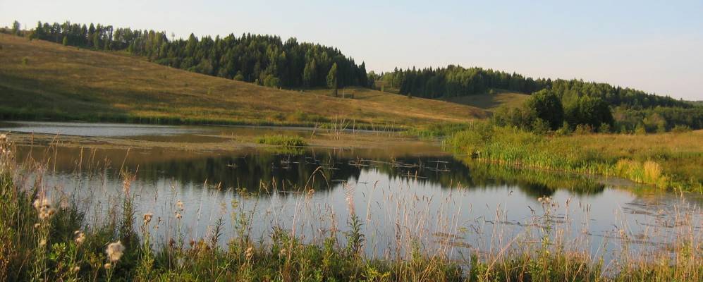 Куединский пермский край. Дубовая гора Куединский район. Гора в деревне дубовая Пермский край. Куединский район Пермский край. Куединский район Пермский природа.