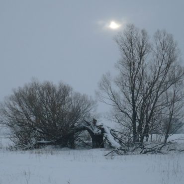 Пестовский