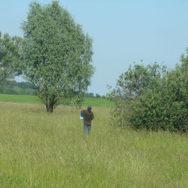 Гаевка