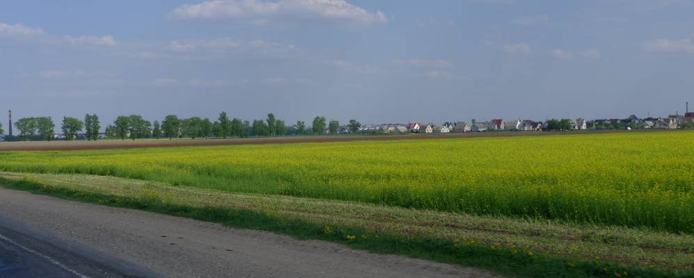 
            Фотография деревни Варковичи