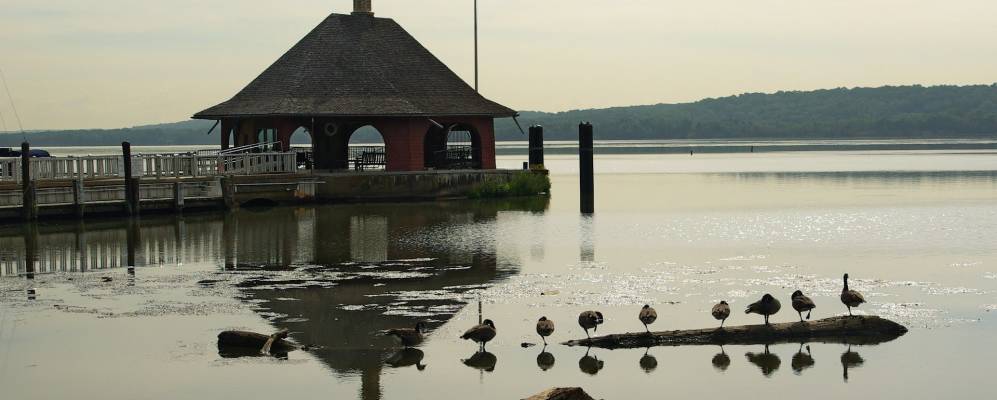 
            Фотография Mount Vernon