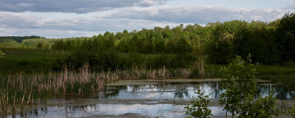 
            Фотография Павловки