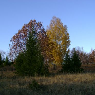 Севадыбашево