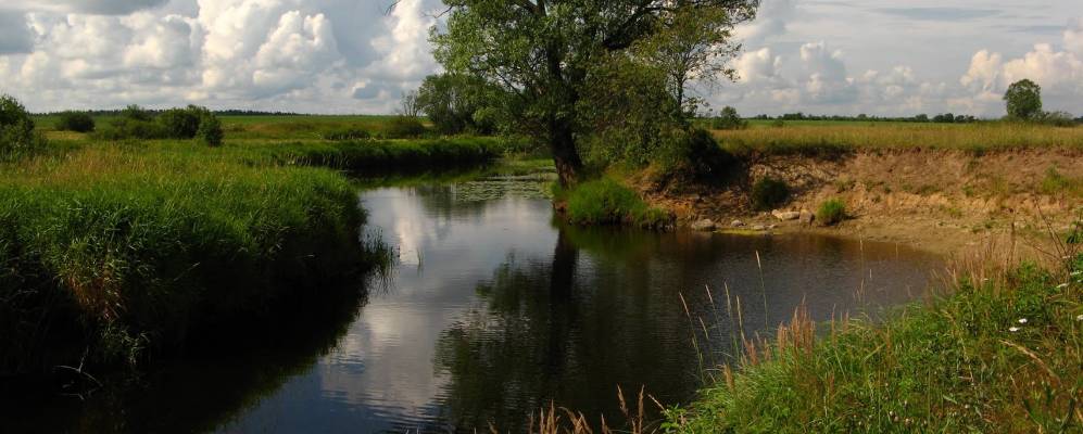 
            Фотография Калошино