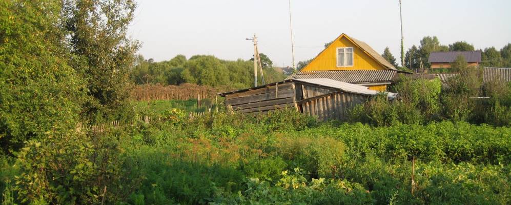 
            Фотография Настасьино