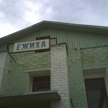 Ежиха