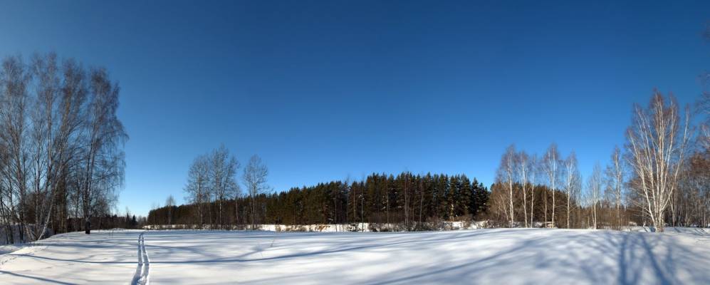 
            Фотография Залесихи