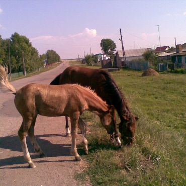 Верхние Бишинды