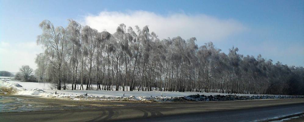 
            Фотография Георгиевского