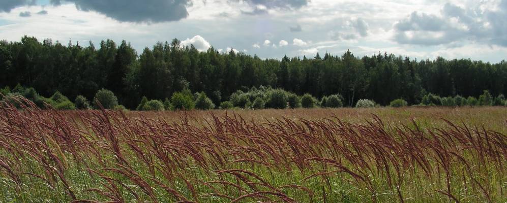 
            Фотография Юрцово