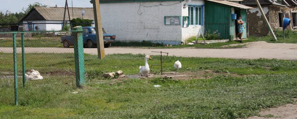 Погода волгоградская область киквидзенский. Киквидзенский район Волгоградской области Гришин. Гришин Волгоградская область. Гришина Волгоградская область.