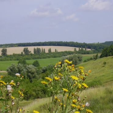 Македоны