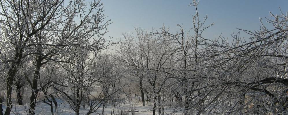 
            Фотография Фарбованого