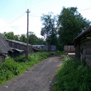 Деревня куровицы кингисеппский район фото