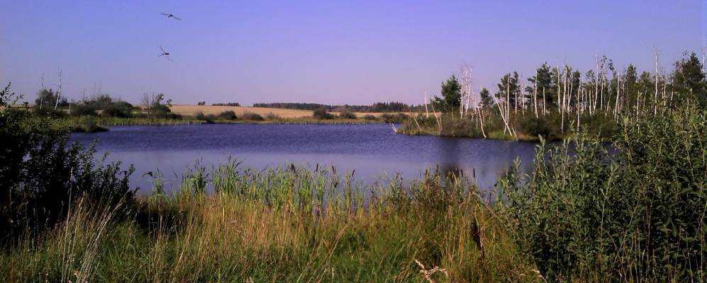 
            Фотография Старой Водвы